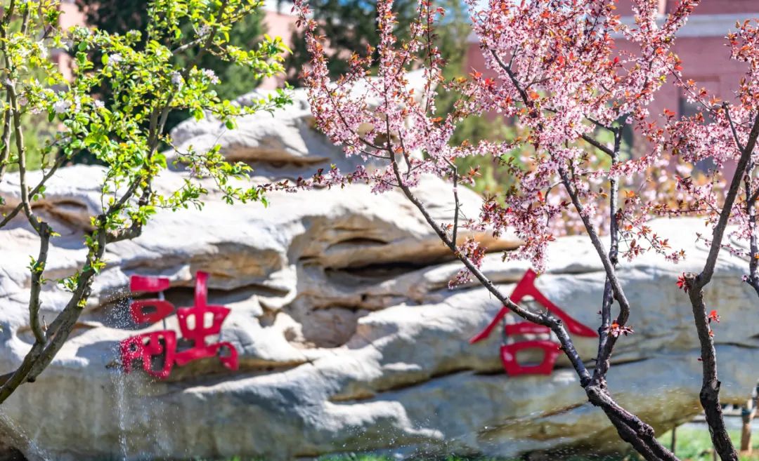 学长学姐肺腑分享助你一臂之力_高考倒计时10天备考试心得_高考冲刺