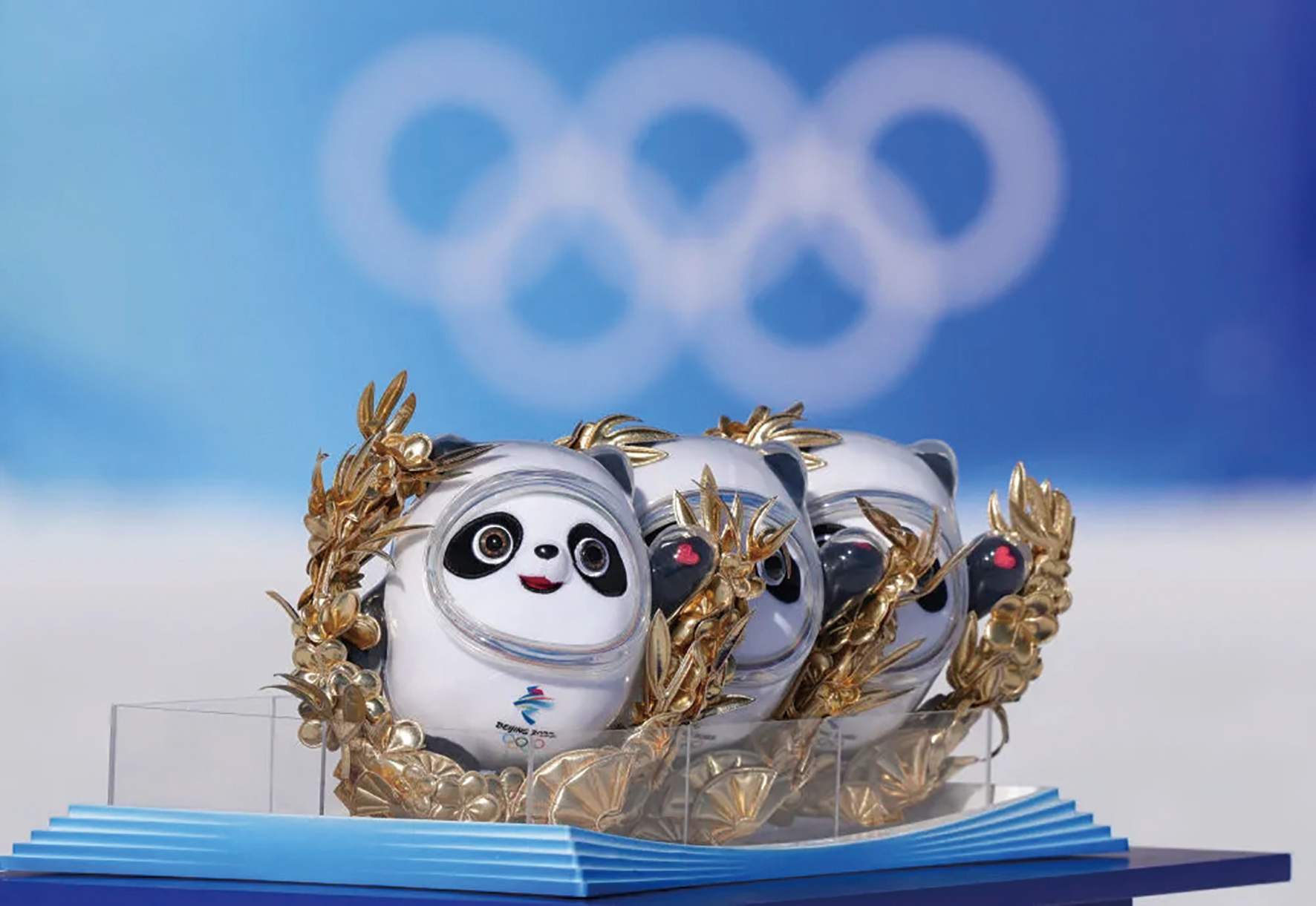 冬奥会转播_北京冬奥会雪花引导牌设计_北京冬奥会开幕式设计